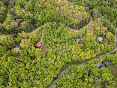 LOT 33 Mahoosec Trail, Mineral Bluff, GA 30559 - photo 6