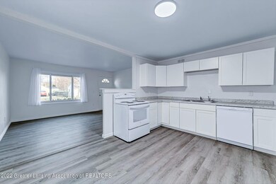 4806 Tenny St, Lansing, MI 48910 - photo 3