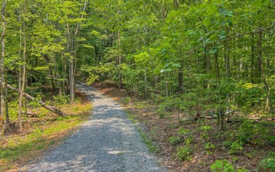 0 Wendy Hill Rd unit 327392, Ellijay, GA 30536 - photo 2