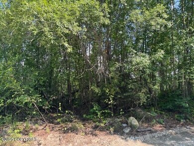 39578 S Malaspina Loop, Susitna North, AK 99676 - photo 4