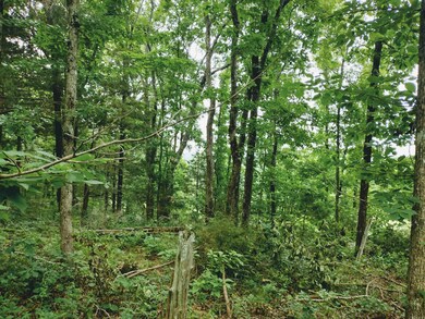 0 Little Pond Dr unit 25023106, Mountain View, AR 72560 - photo 5