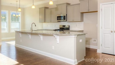 16 Southern Way Ln unit 21, Leicester, NC 28748 - photo 6