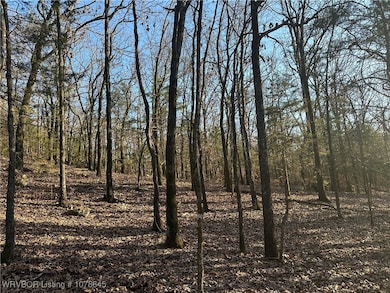 28734 Skyridge Ln, Heavener, OK 74937 - photo 3