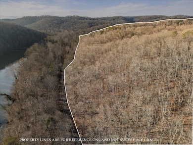 3550 River Rd, Williamsburg, KY 40769 - photo 7