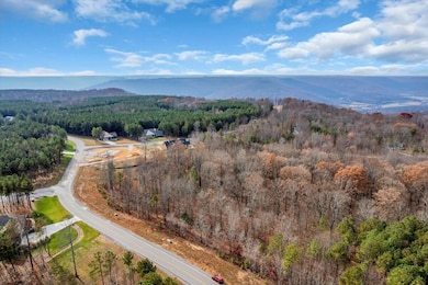 0 Crockett Point unit RTC3061405, Jasper, TN 37347 - photo 2