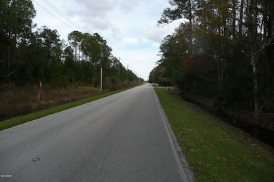 0 Old Deland Rd, Daytona Beach, FL 32124 - photo 3