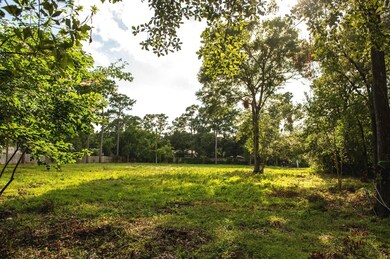 11439 Memorial Dr, Houston, TX 77024 - photo 6