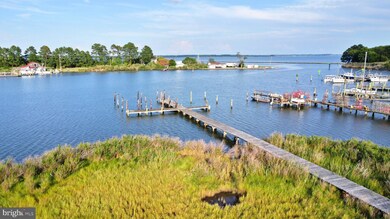 16066 Thomas Rd, Piney Point, MD 20674 - photo 3