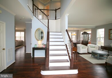 43388 Burke Dale St, Chantilly, VA 20152 - photo 3