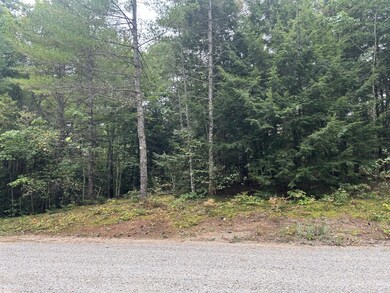 14 Fernalds Hill Way, Stow, ME 04037 - photo 3