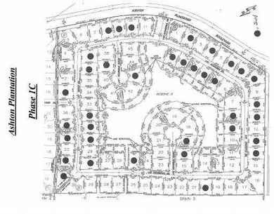 Plat Map. Ashton Plantation - Phase 1C