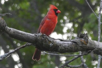 1613 Aspen Cir SE, Cedar Rapids, IA 52403 - photo 4