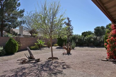 Back Yard 2