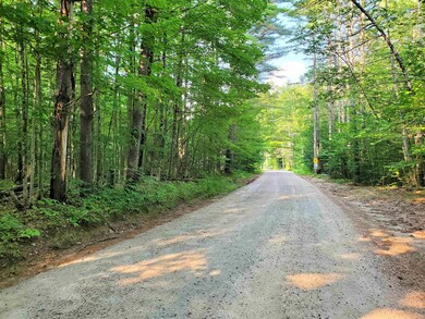 365 & 370 Pine Hill Rd, Ossipee, NH 03814 - photo 3