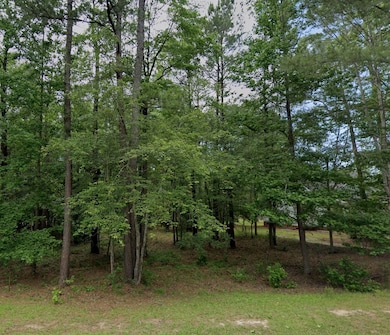 Lot 3 Hummingbird Ln, Moultrie, GA 31768 - photo 2