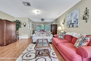 6517 Ocean Pines Ln, Spring Hill, FL 34606 - photo 3