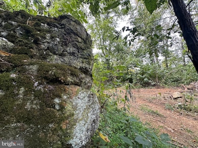 0 Blue Ridge Mountain Rd unit VALO2105128, Paris, VA 20130 - photo 7