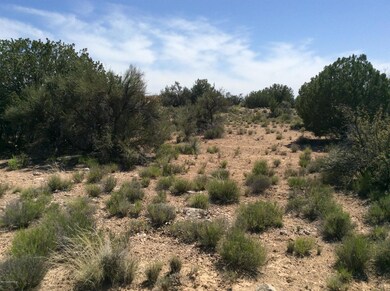2.03 Acre Lot