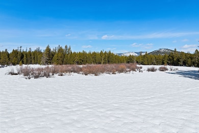 855 Badger Hollow Trail, Marion, MT 59925 - photo 7