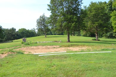 1050 Edmundson Rd, Prospect, TN 38477 - photo 5