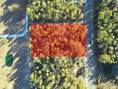 LOT 24 SW Timberlake Rd, Dunnellon, FL 34431 - photo 7