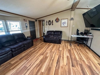 709 W Elm St, Lamar, CO 81052 - photo 3