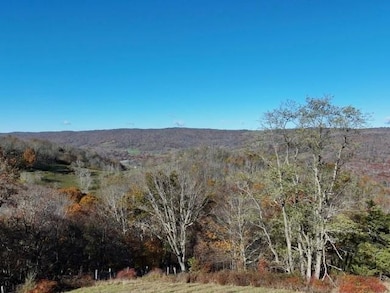 TBD Rich Hills Rd, Monterey, VA 24465 - photo 2