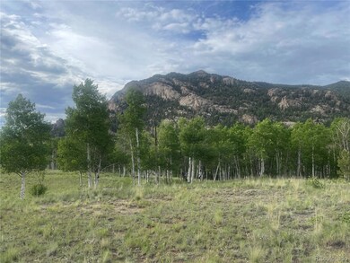 171 Emerald Way, Lake George, CO 80827 - photo 7