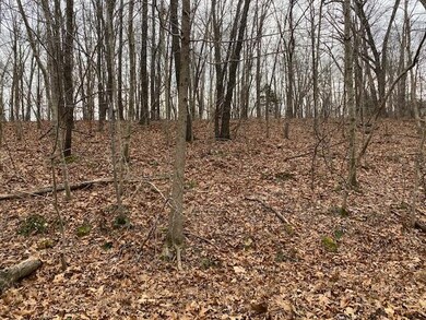 0 Devonshire (Lot 27) Ln unit 1172567, Bella Vista, AR 72715 - photo 7