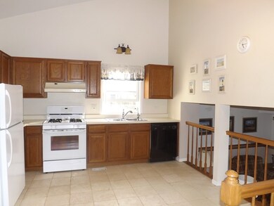 935 Fox Run Ln, Algonquin, IL 60102 - photo 6