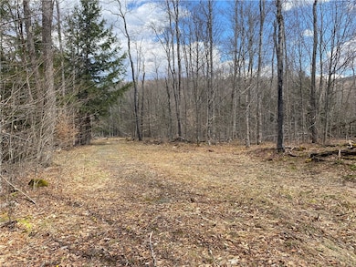 first clearing