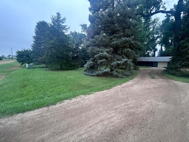 large trees