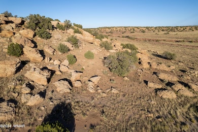 137 Acr 8461, Concho, AZ 85924 - photo 6