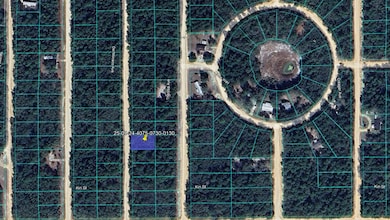 417 Theresa Ave, Interlachen, FL 32148 - photo 4