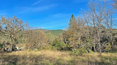 17571 Van Arsdale Rd, Potter Valley, CA 95469 - photo 3