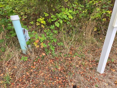 12628 208th Place NE, Union Hill-Novelty Hill, WA 98077 - photo 4