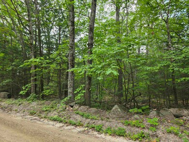 Wooded lot