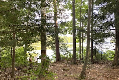 1957 Lake Dunmore Rd, Salisbury, VT 05769 - photo 7