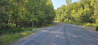 Lot 561 Bluff View Dr, Dunlap, TN 37327 - photo 6