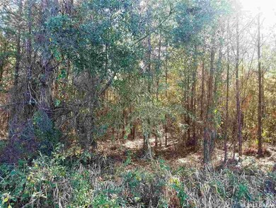 442 SW Cherrywood Way, Lake City, FL 32025 - photo 2