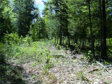 Lot #4 Sweden Rd, Bridgton, ME 04057 - photo 3