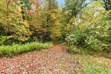 Beautifully groomed walking trails!