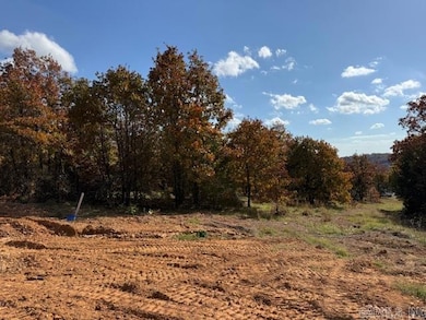 90 Summer Sky Dr, Greenbrier, AR 72058 - photo 2