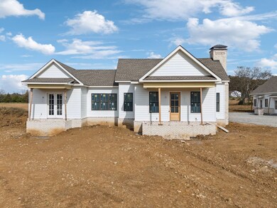 4718 Eagleville Pike, Chapel Hill, TN 37034 - photo 4