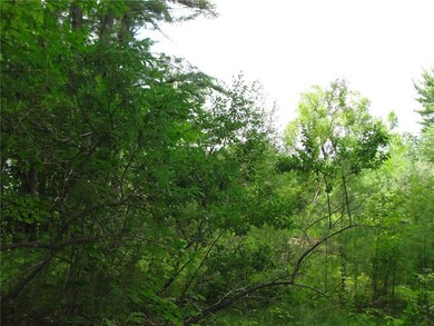 0 S South Bridgton Rd unit 1320484, Bridgton, ME 04009 - photo 5