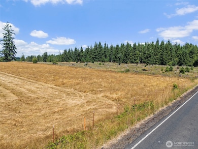 0 Frogner Rd unit 3 NWM2417175, Adna, WA 98532 - photo 7