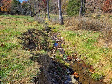 TBD Paradise Ln, Bridgewater, VA 22812 - photo 7