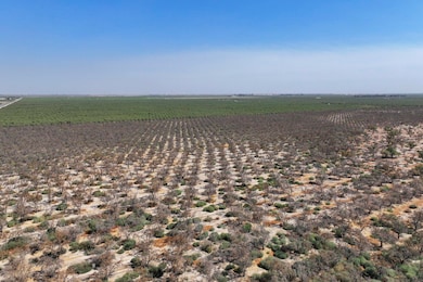 2025-08-29-Earlimart-78-acres-almonds-01