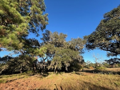 1311-B Alleyton Rd, Columbus, TX 78934 - photo 6