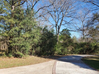 22502 Rosehurst Dr, Tomball, TX 77377 - photo 7